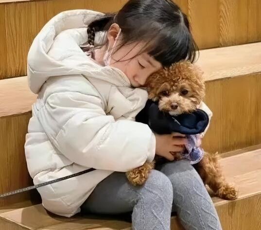 萌宠排行来啦！你的宝贝上榜了吗？