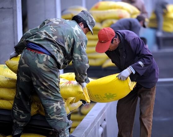 尿素价格跌了！近“满格”下跌，小麦价格也跌了，玉米黄豆咋样